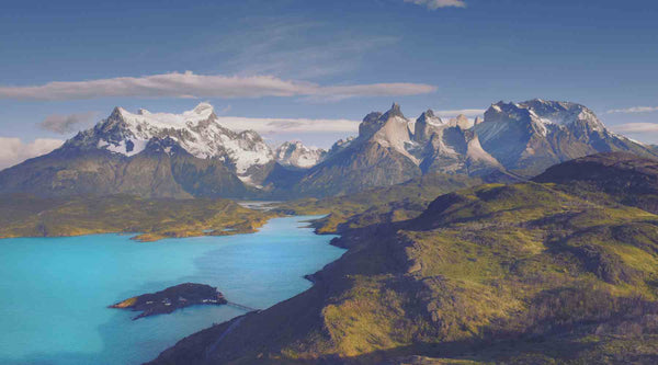 Wild fucoidan: Skin nourishment from the pristine waters of Patagonia